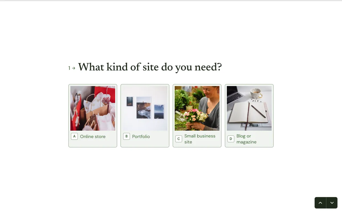 Website design quote: a screen from the Forms website quote template